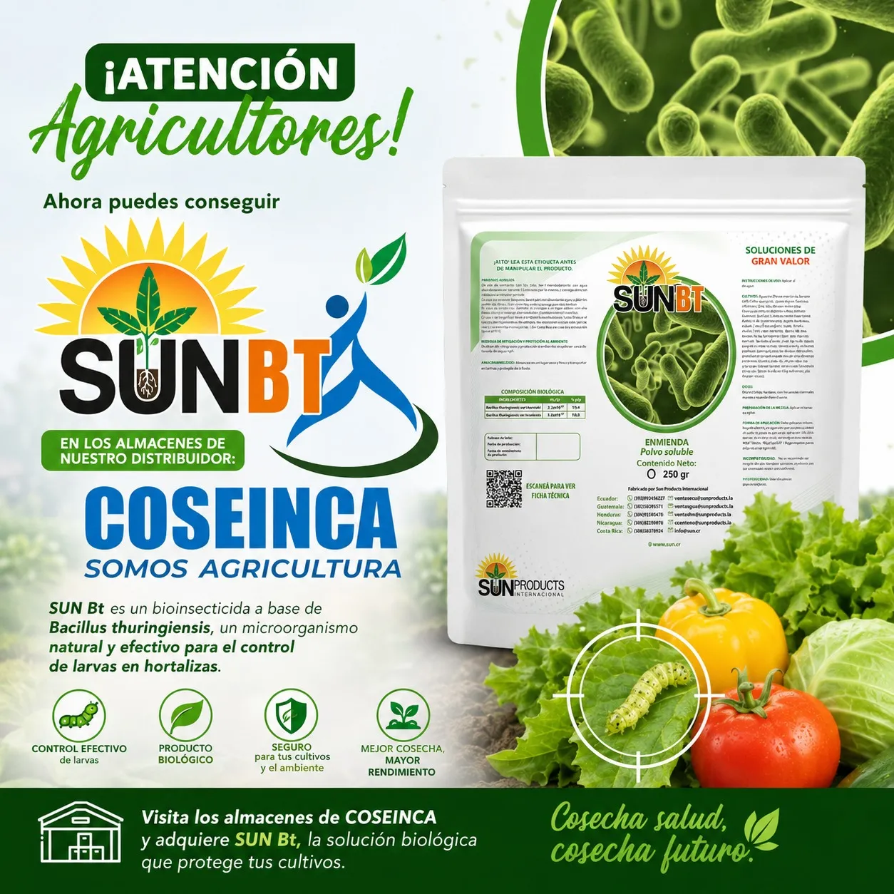 SUN Bt llega a COSEINCA